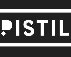 새롭게 단장한 모습으로 돌아온 Pistil Seoul, 지난 주말 재오픈!