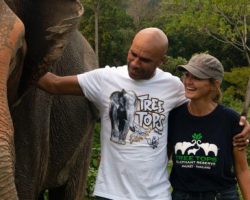 GOLDIE DESIGNS GRAFFITI-STYLE T-SHIRT TO RAISE FUNDS FOR ENDANGERED ELEPHANT RESERVE